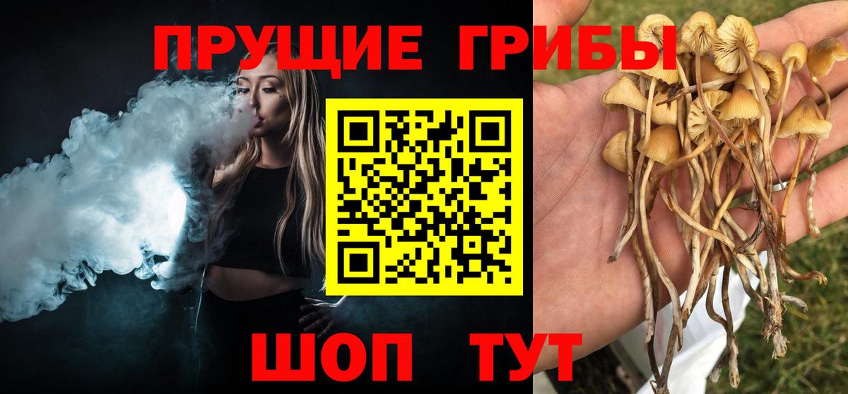 Саянск  дарнет шоп  Вход с VPN  Псилоцибиновые грибы мицелий  Псилоцибиновые грибы MAGIC MUSHROOMS 